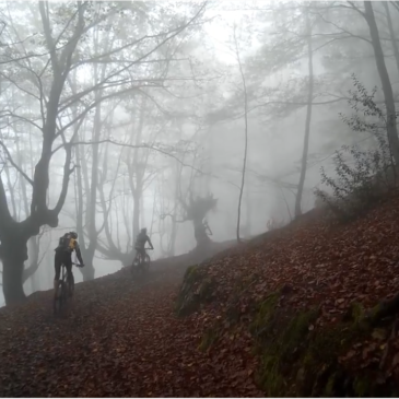 Raid Eibar